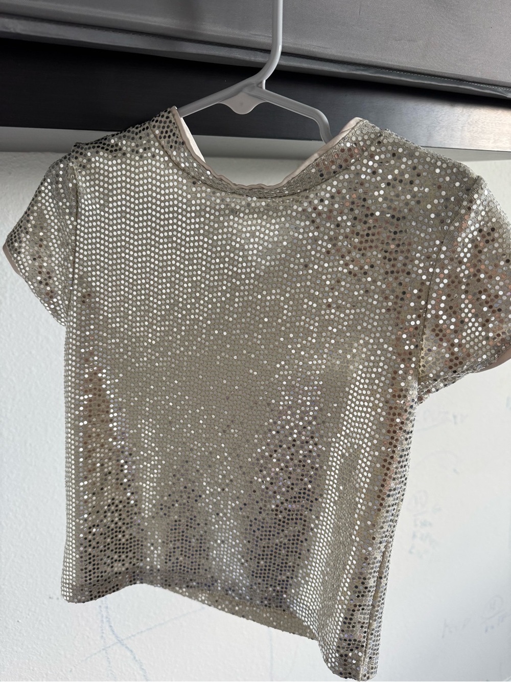 Zara Silver Sequin Short Sleeve Top